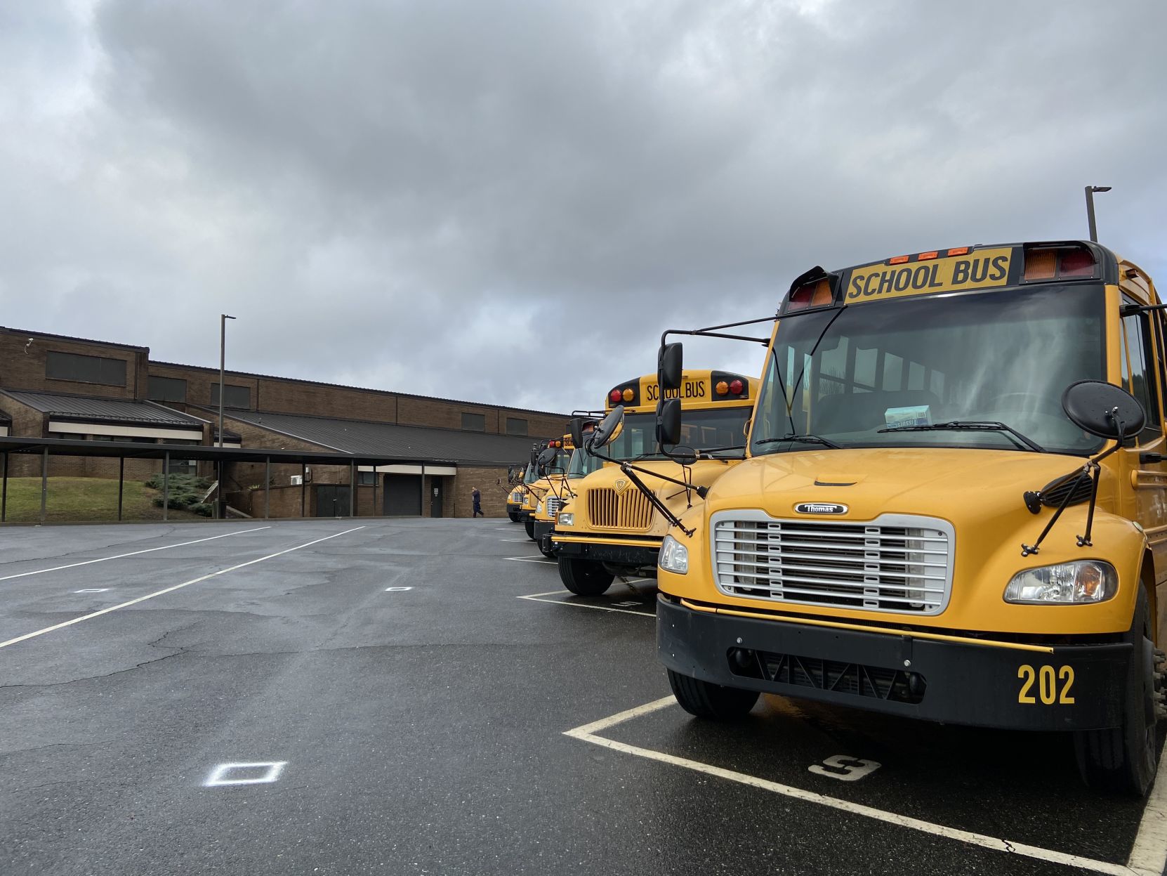 buses3